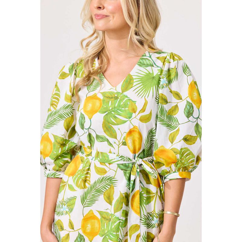 Lemon Tree Nika Dress image number 2